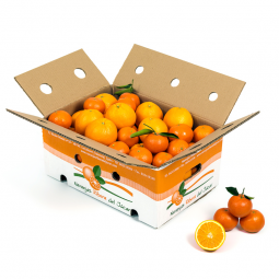 Caja Mixta  Kg
