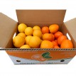 Caja mixta de Caquis y Naranjas