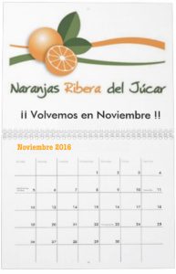 las-mejores-naranjas-de-valencia-Volvemos-en-noviembre-2016