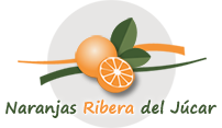 Naranjas Ribera del Júcar
