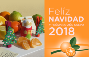 regalar-naranjas-clementinas-feliz-navidad-2018