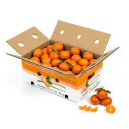 Nuestra caja de naranjas de clementinas de 5 kilos