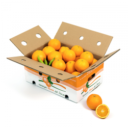 Naranjas de mesa de 5 kilos