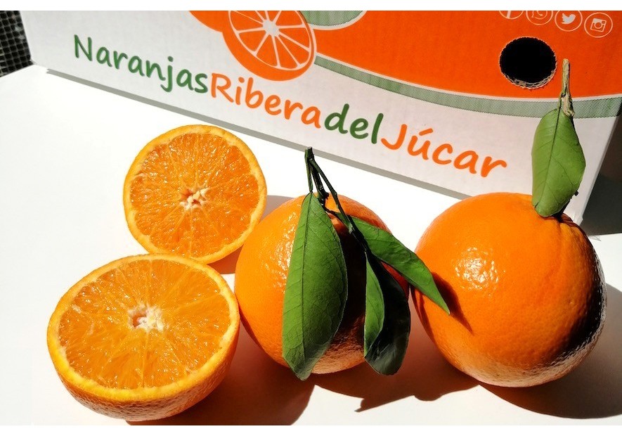 ¡Ya pueden realizar sus pedidos!