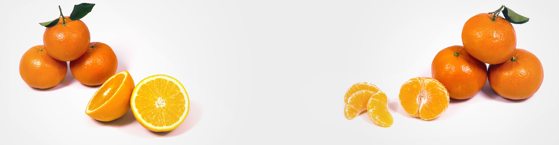 Naranjas Ribera del Júcar